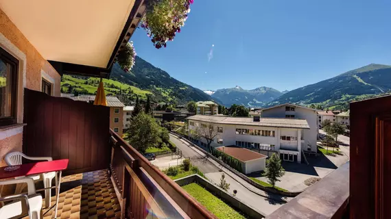 Hotel Alpina | Salzburg (eyalet) - Sankt Johann im Pongau - Bad Hofgastein