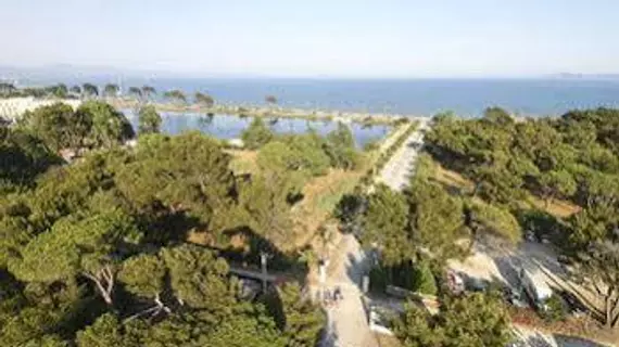 Azur Soleil - Les Pins Maritimes - Campground | Provence - Alpes - Cote d'Azur - Var - Toulon - Hyeres (ve civarı) - Hyeres