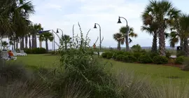 Sea Gypsy Inn | Güney Karolayna - Myrtle Plajı (ve civarı) - Myrtle Beach - Myrtle Beach Merkezi