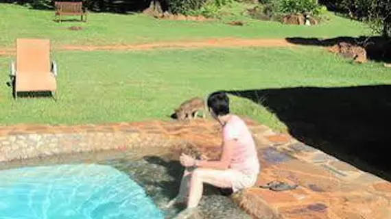 Caracal Lodge | Mpumalanga - Mbombela - Houtboschoek