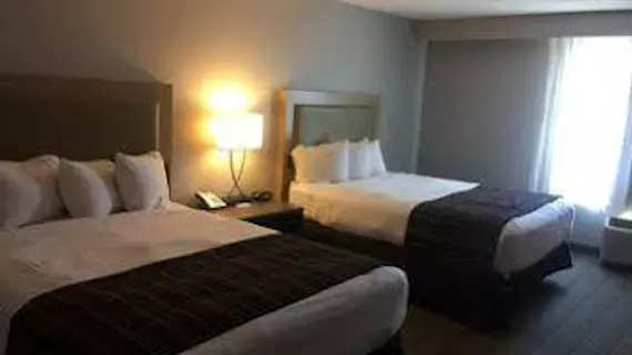 Country Inn & Suites by Radisson, Springfield, IL | İllinois - Springfield (ve civarı) - Springfield