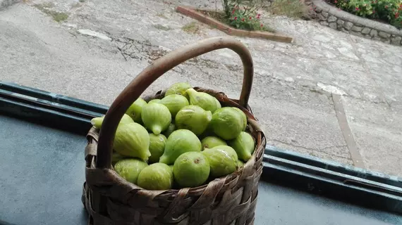 Agriturismo Mare e Monti | Campania - Salerno (il) - Tramonti