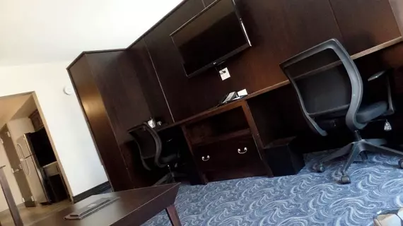 Kent State University Hotel and Conference Center | Ohio - Summit İlçesi - Akron (ve civarı) - Kent