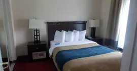 Baymont Inn and Suites Decatur | Alabama - Huntsville (ve civarı) - Decatur