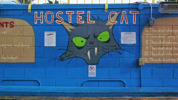 Hostel Cat Las Vegas | Nevada - Clark County - Las Vegas (ve civarı) - Las Vegas