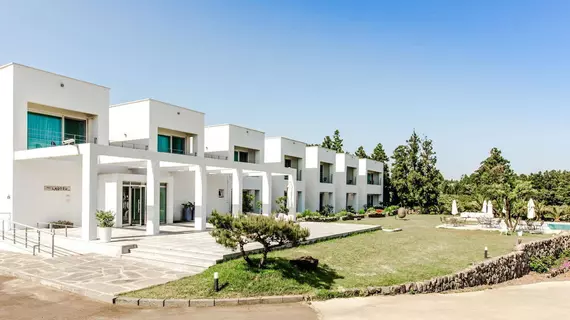 Laotzu Resort Pension | Jeju Adası - Seogwipo - Seogwipo Şehri