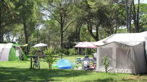 Belvedere Pineta Camping Village | Friuli-Venezia Giulia - Udine (vilayet) - Aquileia