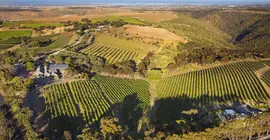 Chapel Hill Winery & Retreat | Güney Avustralya - Adelaide (ve civarı) - McLaren Vale