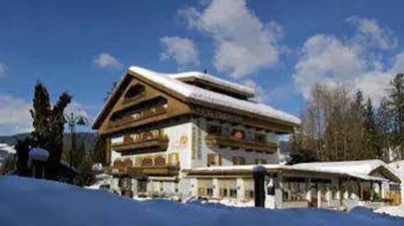 Hotel Dolomiten | Trentino-Alto Adige - Güney Tirol (il) - Dobbiaco