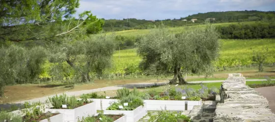 Foresteria Podere Brizio | Toskana - Siena (vilayet) - Montalcino