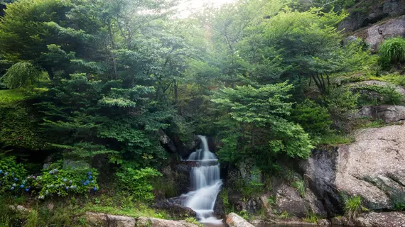 Neuraengigol | Güney Jeolla - Suncheon (ve civarı) - Gwangyang