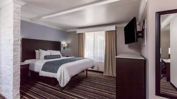 Best Western Plus Diamond Valley Inn | Kaliforniya - Riverside County - Temecula (ve civarı) - Hemet