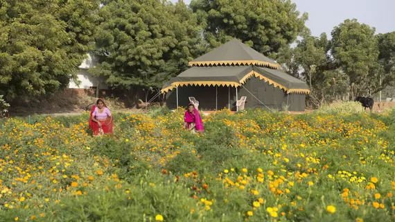 Orchard | Racastan - Ajmer (ve civarı) - Ajmer - Pushkar