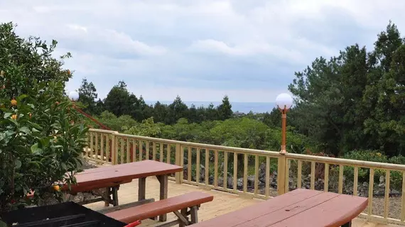 Jungmoon Family Pension & Resort | Jeju Adası - Seogwipo - Jungmun