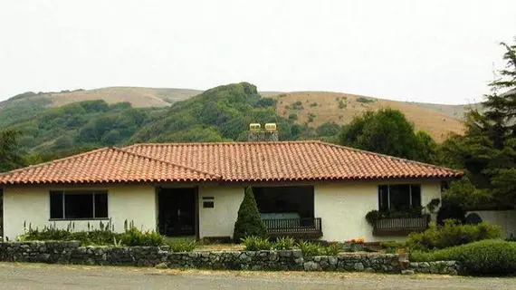 Point Reyes Vineyard Inn | Kaliforniya - Marin County - Point Reyes İstasyonu