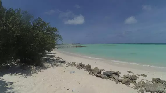 Ayaana Lodge | Maldivler - Kaafu Atoll - Huraa