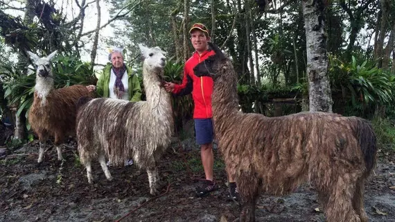 Las Orquídeas | Tungurahua - Banos