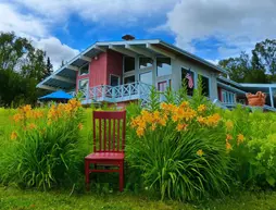 Alaska Halcyon Heights Inn | Alaska - Homer