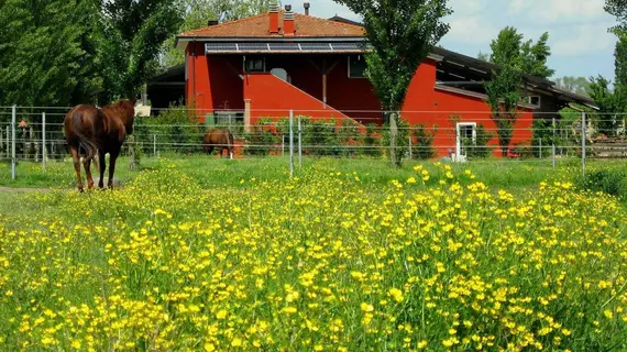 Agriturismo Adriano Pedretti | Veneto - Verona (ve civarı) - Badia Polesine