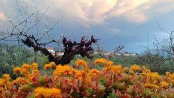 Agriturismo Angelucci | Abruzzo - Chieti (il) - Lanciano