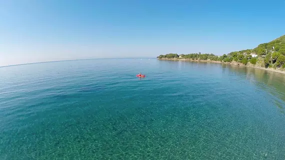 Punta Licosa | Campania - Salerno (il) - Castellabate - Ogliastro Marina