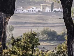 Herdade da Maxuqueira | Alentejo - Portalegre Bölgesi - Gaviao