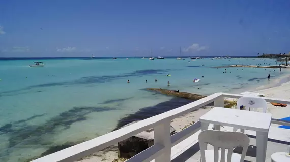 Chichis and Charlies | Quintana Roo - Benito Juárez - Cancun (ve civarı) - Isla Mujeres