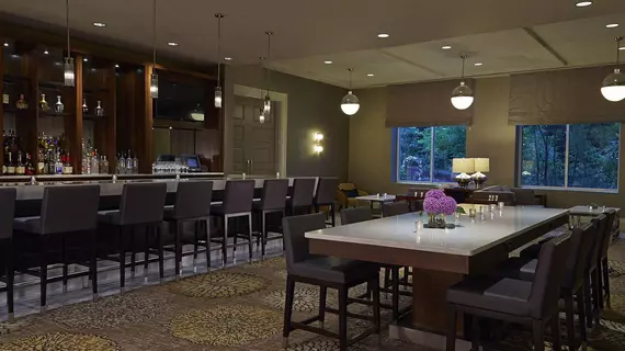 Hyatt Atlanta Perimeter - Villa Christina | Georgia - Atlanta (ve civarı) - Atlanta