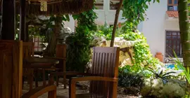 Hotel Hulku | Quintana Roo - Solidaridad - Playa del Carmen - Centro