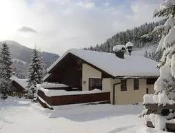 Pension Bergliebe | Salzburg (eyalet) - Sankt Johann im Pongau - Filzmoos