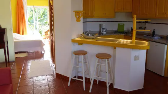 Apartamentos Villa Rosalva | Kanarya Adaları - Santa Cruz de Tenerife - Puerto de la Cruz