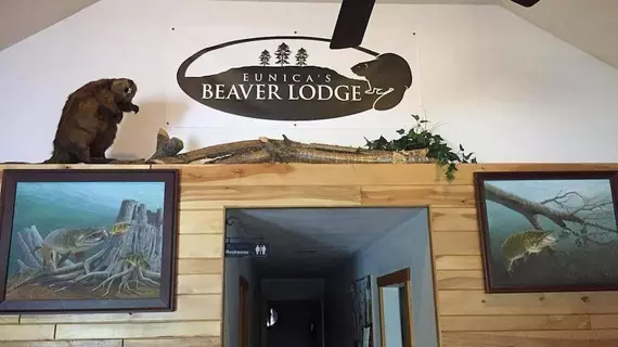 Eunica's Beaver Lodge | Wisconsin - Mercer