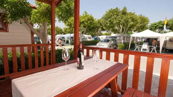 Marjal Camping & Bungalows Resort | Valencia Bölgesi - Alicante (vilayet) - Vega Baja del Segura - Guardamar del Segura