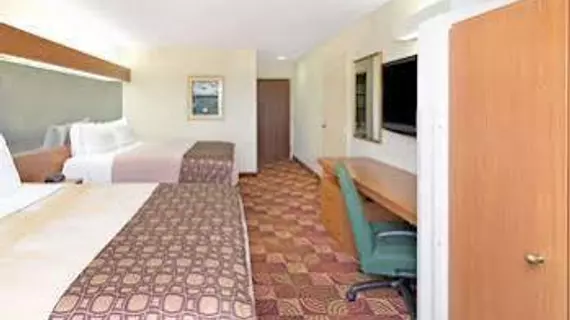 Microtel Inn by Wyndham Denver | Kolorado - Denver (ve civarı) - Denver