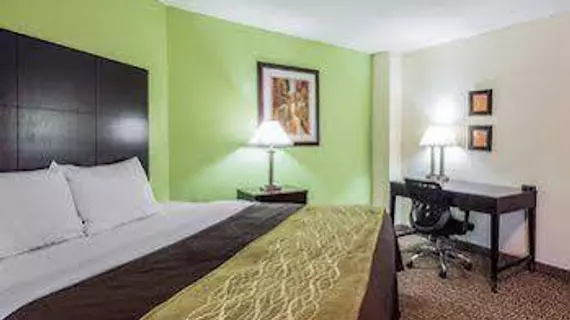 Comfort Inn | Alabama - Jackson (ve civarı) - Thomasville