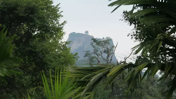 Wewa Addara | Merkez Vilayet - Matale Bölgesi - Sigiriya