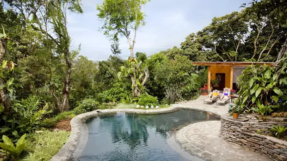 Monteverde Lodge & Gardens | Puntarenas (ili) - Monteverde