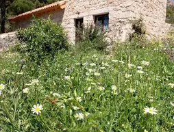 Huerto San Antonio | Madrid Özerk Topluluğu - Sierra Norte - La Cabrera