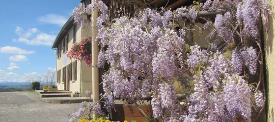 Auberge Du Balestié | Occitanie - Aude (bölge) - Carcassonne (ve civarı) - Malegoude