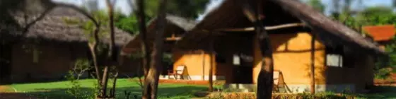 Green Ayurvedic Resort | Merkez Vilayet - Matale Bölgesi - Sigiriya