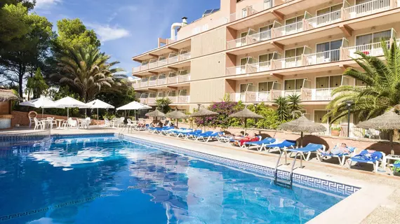 Delfin Siesta Mar | Balearic Adaları - Mayorka Adası - Calvia - Santa Ponsa