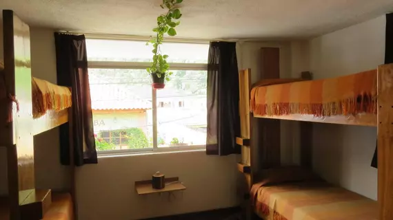 Hostal Plantas y Blanco | Tungurahua - Banos