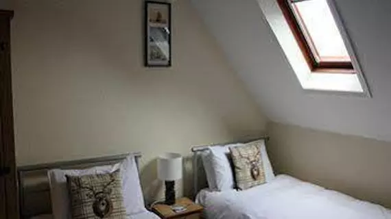 Elmfield Guest Accommodation | Norfolk (kontluk) - Norwich - The Broads Ulusal Parkı