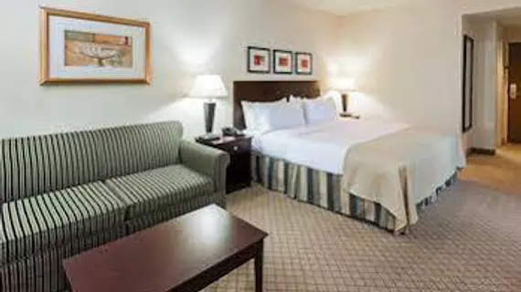 Holiday Inn Hotel & Suites Springfield | Missouri - Springfield (ve civarı) - Springfield