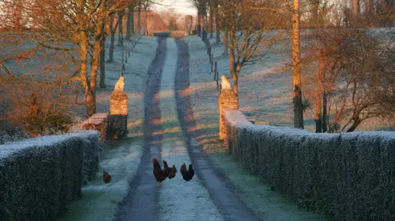 Le Manoir de Herouville | Normandiya - Calvados (bölge) - Litteau