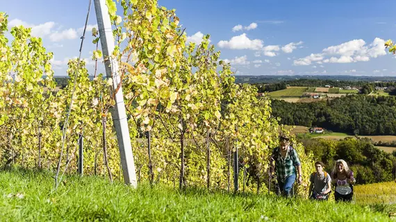 Hotel Garni Birkenhof | Styria - Bad Radkersburg