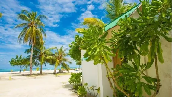 Faza View Inn | Maldivler - Kaafu Atoll - Maafushi