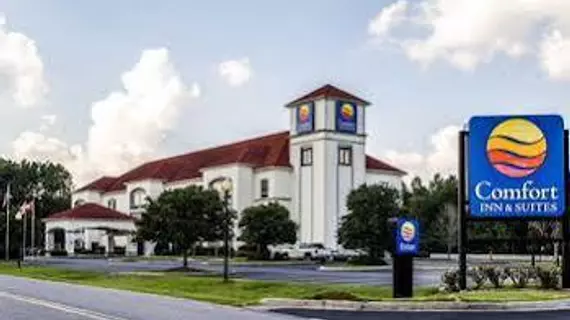 Comfort Inn & Suites Savannah Airport | Georgia - Savannah (ve civarı) - Savana