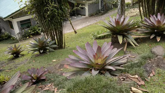 Las Cruces Biological Station | Puntarenas (ili) - San Vito