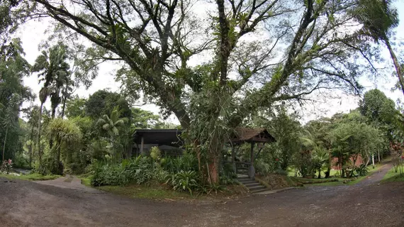 Chachagua Rainforest Eco Lodge | Alajuela (ili) - San Carlos (kantonu) - El Castillo - Chachagua